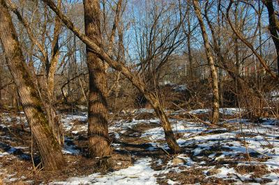 Прикрепленное изображение: 0784s.jpg